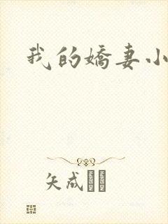 我的娇妻小说封面