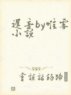 迟音by唯雾的小说