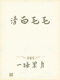 清白毛毛