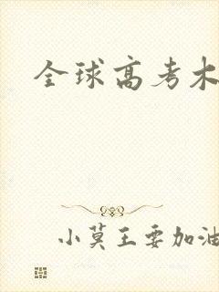 全球高考木苏里
