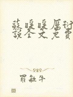 苏暖暖厉衍琛小说全文免费阅读