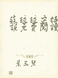 苏皎皎宋持的小说免费阅读封面