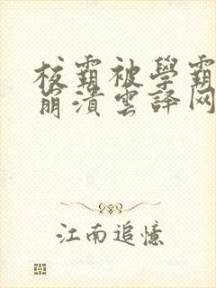 校霸被学霸玩到崩溃云译网封面