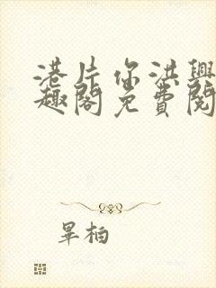 港片你洪兴仔笔趣阁免费阅读全文封面