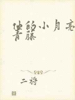 他的小月亮by青藤封面