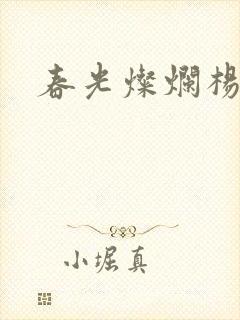 春光灿烂杨家将