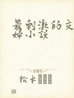 最刺激的交换夫妇小说