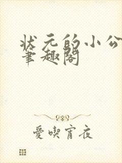 状元的小公主 笔趣阁封面