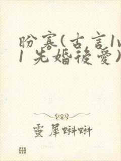 盼寡(古言1v1 先婚后爱)封面