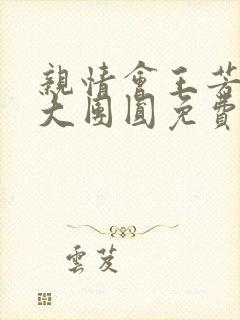 亲情会王芳高敏大团圆免费阅读封面