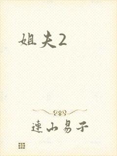 姐夫2