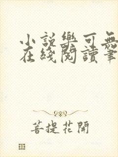 小说乐可无弹窗在线阅读笔趣阁txt封面