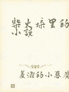 柴火垛里的疯狂小说