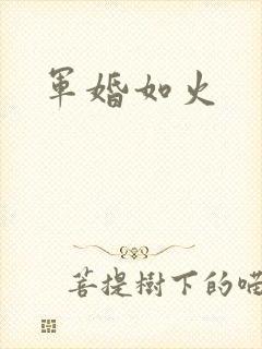 军婚如火封面