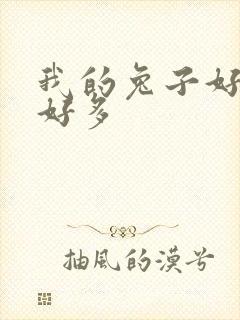 我的兔子好软水好多