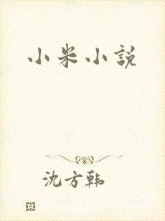 小米小说