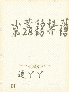 小莹的性荡生活第28的介绍封面