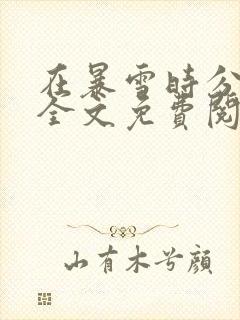 在暴雪时分小说全文免费阅读封面