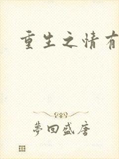 重生之情有独钟