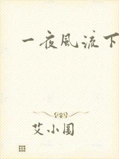 一夜风流下载