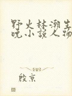 野火林潮生林晚晚小说人物野火