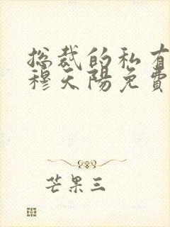 总裁的私有宝贝穆天阳免费