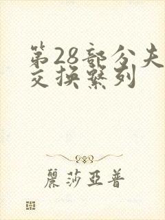 第28部分夫妇交换系列