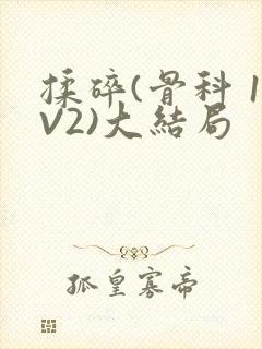 揉碎(骨科 1V2)大结局