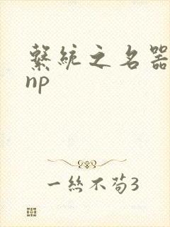 系统之名器攻略np