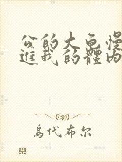 公的大龟慢慢挺进我的体内