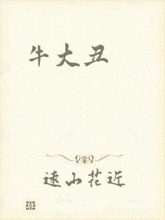牛大丑封面