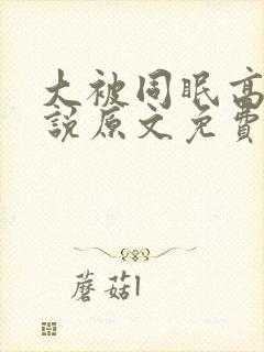 大被同眠高粱小说原文免费阅读封面