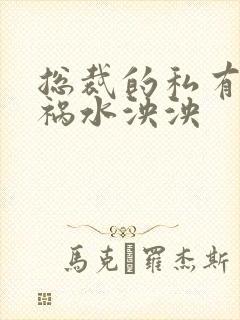 总裁的私有宝贝祸水泱泱