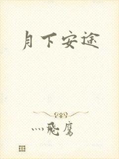 月下安途
