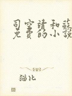 司空靖和苏月汐免费的小说笔趣阁