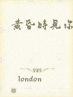 黄昏时见你封面