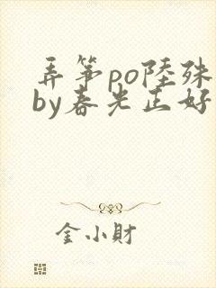 弄筝po陆殊词by春光正好封面