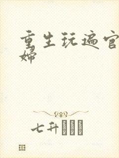 重生玩遍官场贵妇