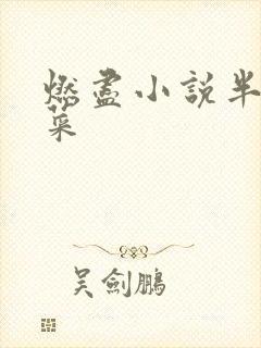 燃尽小说半截白菜
