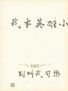 我本英雄小说
