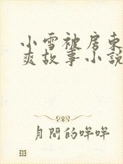 小雪被房东的好爽故事小说