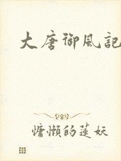 大唐御风记封面