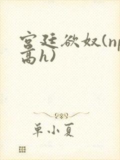 宫廷欲奴(np高h)封面