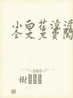 小白花浇灌日常全文免费阅读封面