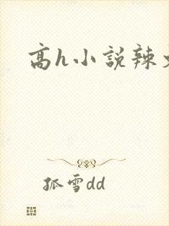 高h小说辣文