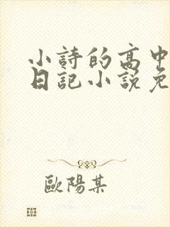 小诗的高中成长日记小说免费阅读