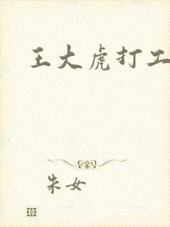 王大虎打工封面