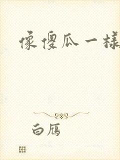 像傻瓜一样去爱