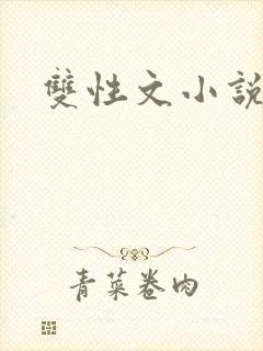 双性文小说封面
