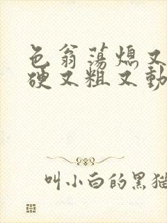 色翁荡熄又大又硬又粗又动态图